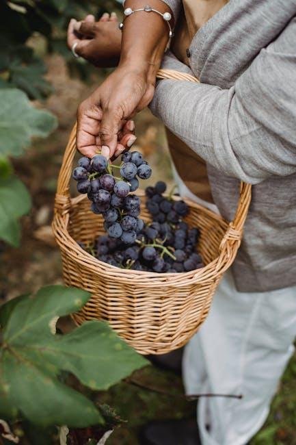 Lasting‍ Choices: Eco-Friendly Brands ⁤to Consider